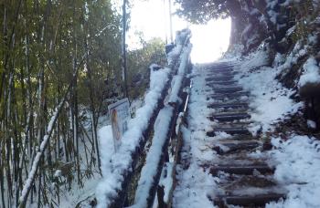 雪が積もった手すりや階段を下から撮影した藤崎古道の写真