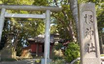 鳥居の右側に石柱が設置されている根神社の写真