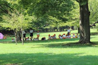 香澄公園の木陰に座る子供たちの写真