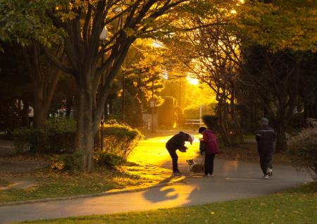 朝焼けが差す公園を散歩する人々の写真