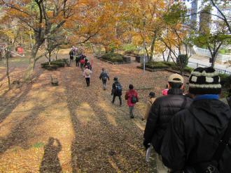 葉が黄色く色づいて紅葉がきれいな自然公園の中を歩いている参加者の写真
