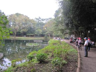 森林公園の池のそばを歩いている参加者の写真