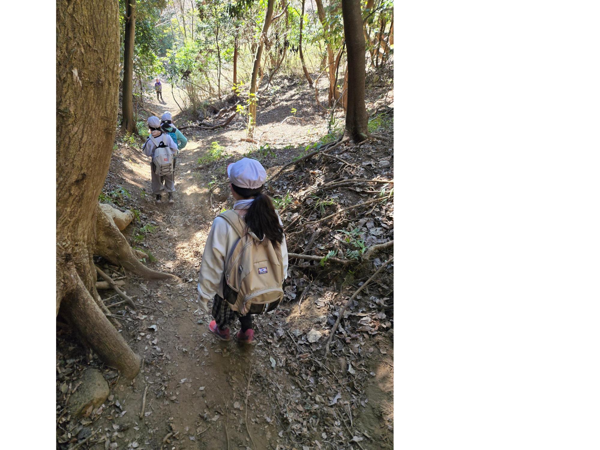 5年鹿野山2日目3