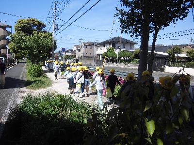 マラソン道路