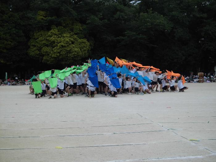 6年