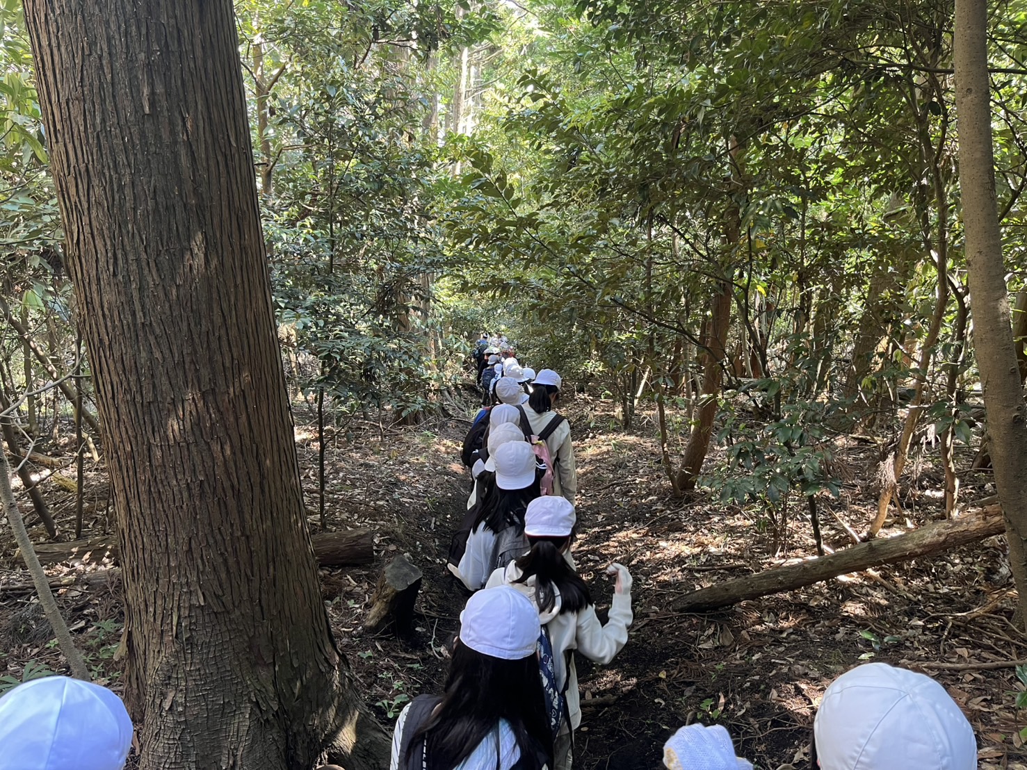 鹿野山1
