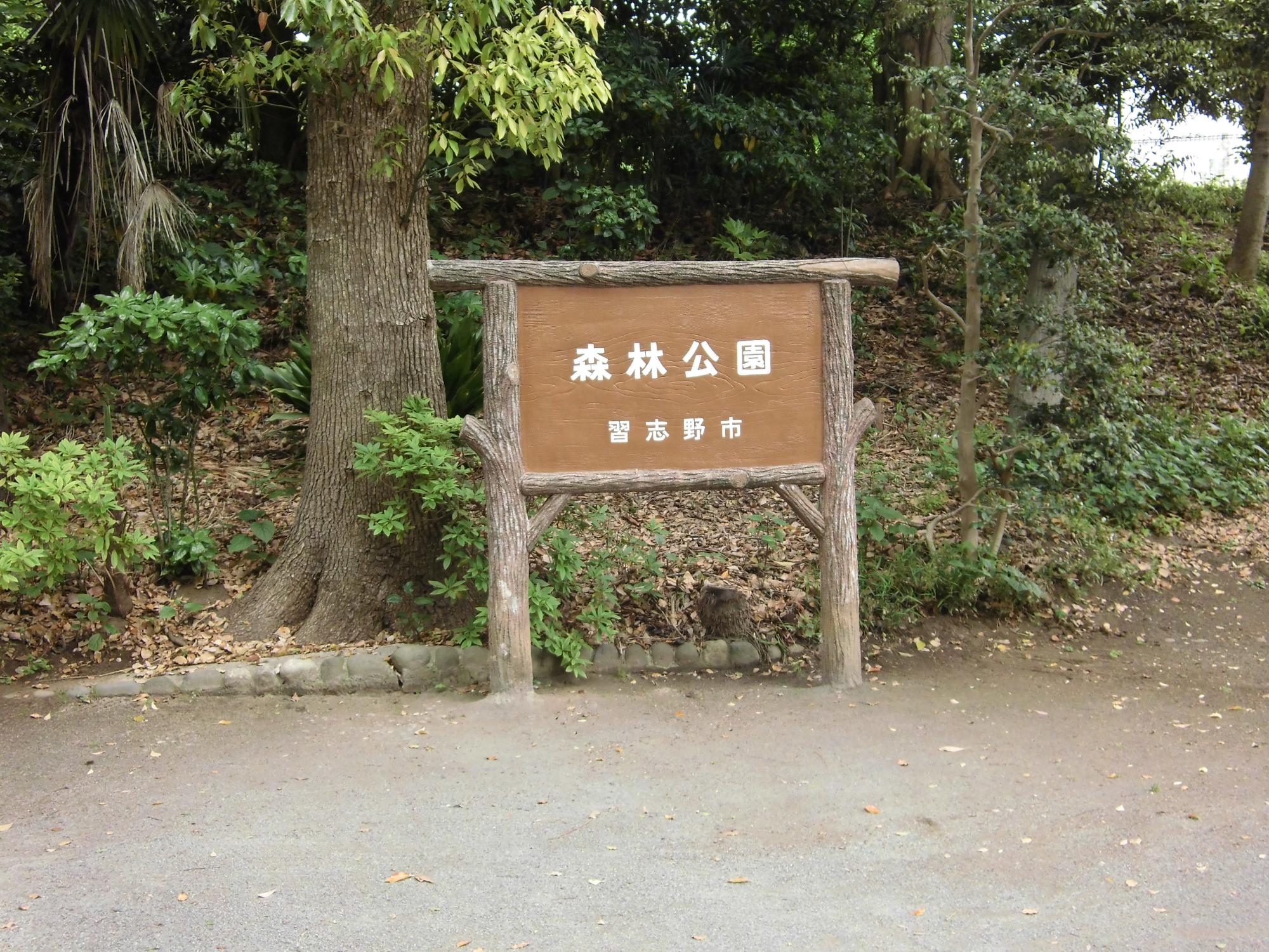 町探検２