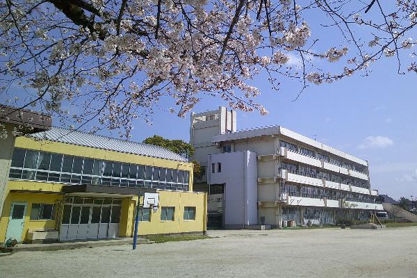 桜と遊具