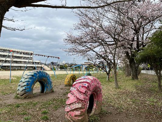 桜と遊具