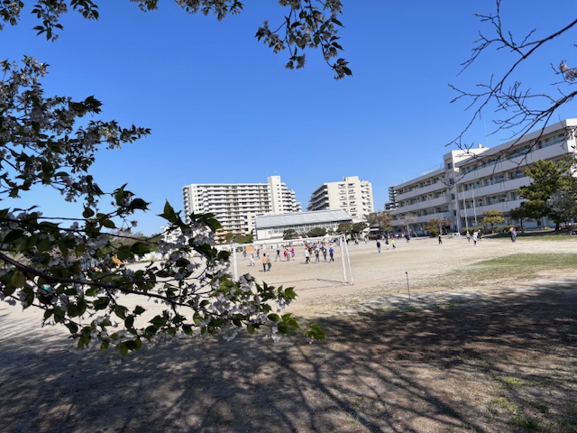 朝の校庭の様子