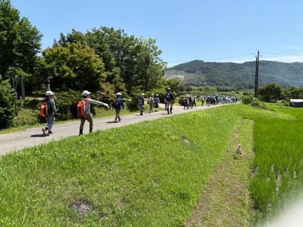 田んぼの道を歩く様子