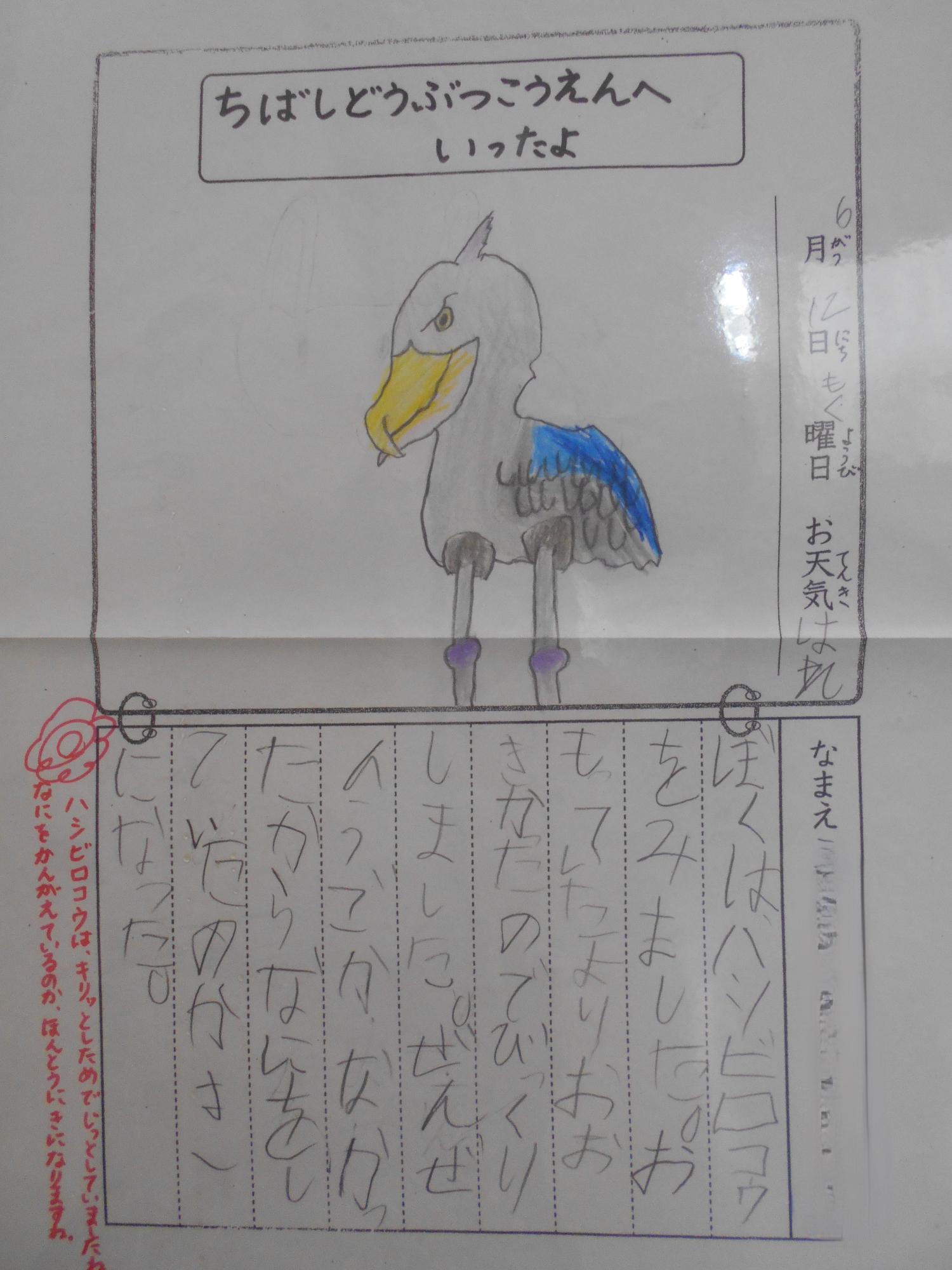 1年生の絵日記ハシビロコウ