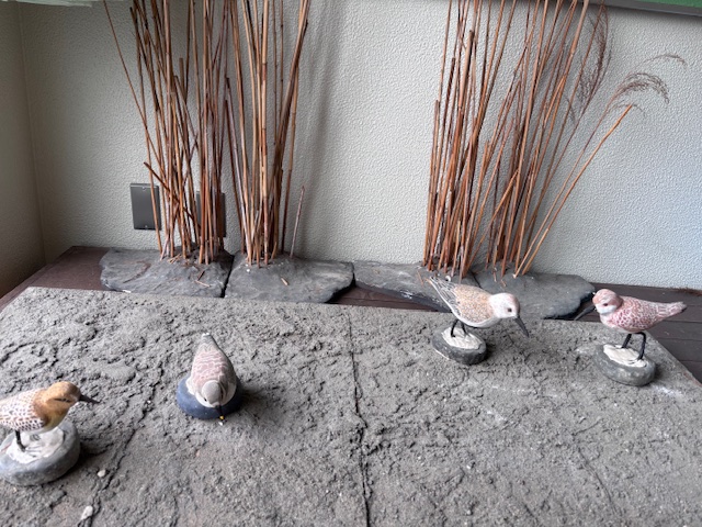 干潟学習室に置いてあるカービング