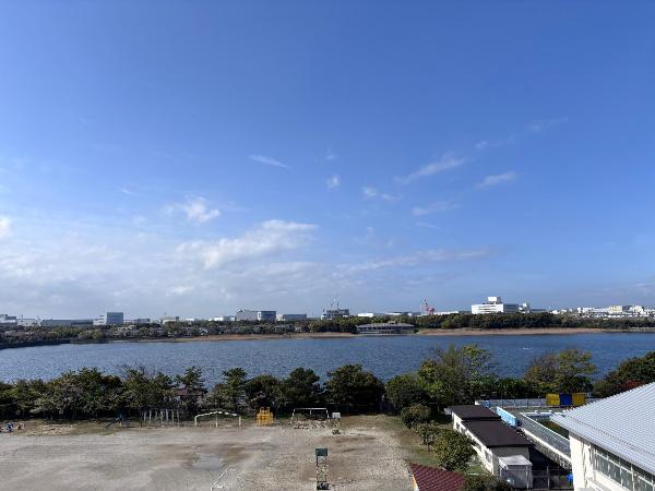 校舎内から見える谷津干潟