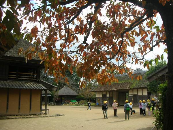 農家で遊ぶ様子