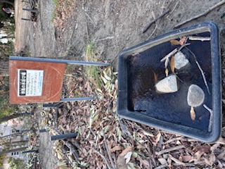 凍った野鳥の水浴び場