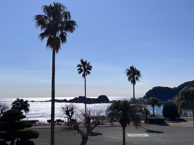 玄関から見える海の様子