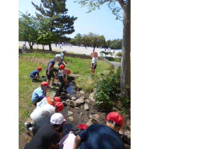 ザリガニを探す子どもたち