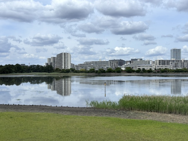 干潟観察センターから見た谷津南小