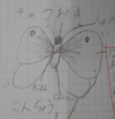児童のノート