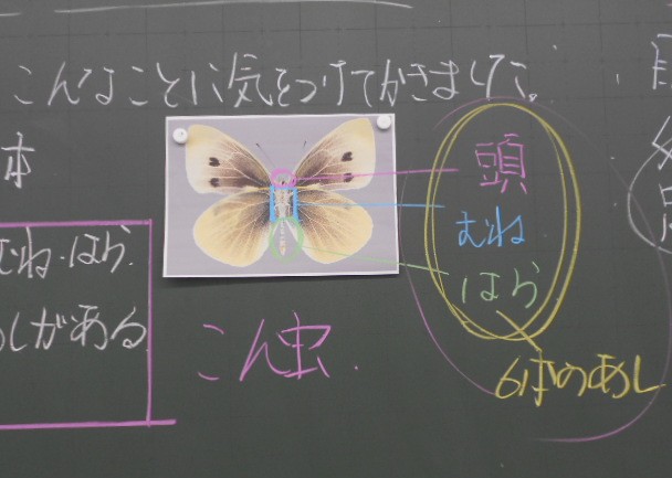 黒板に書かれた文字