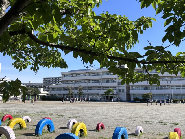 朝指示時半過ぎの校庭