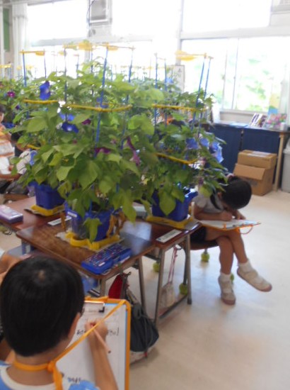 1年生生活科学習の様子