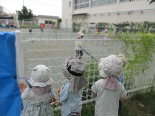 1歳児が幼児組のかけっこをじっと見ているところ