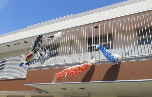 風に揺れるこいのぼり