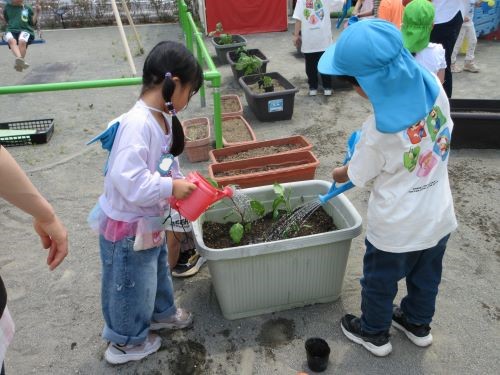 水やりをする5歳児