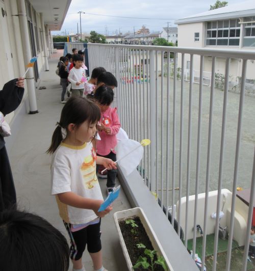 みかん　傘さし