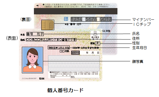 マイナンバーカード見本