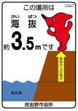 この場所は海抜約3.5メートルです。の文字と東京弯の海と海面からの高さを示した場所に立つチーバくんが描かれた海抜表示見本