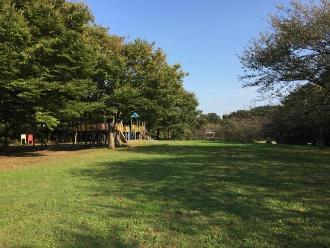 青々と葉が茂る桜の木の奥に複合遊具が見える広々とした屋敷近隣公園の写真