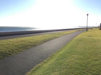 東京湾を一望でき、海沿いに舗装された小道が先までずっと続いている茜浜緑地の写真
