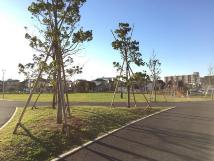 歩道の間に複数の植樹がある谷津奏の杜（やつかなでのもり）公園の写真