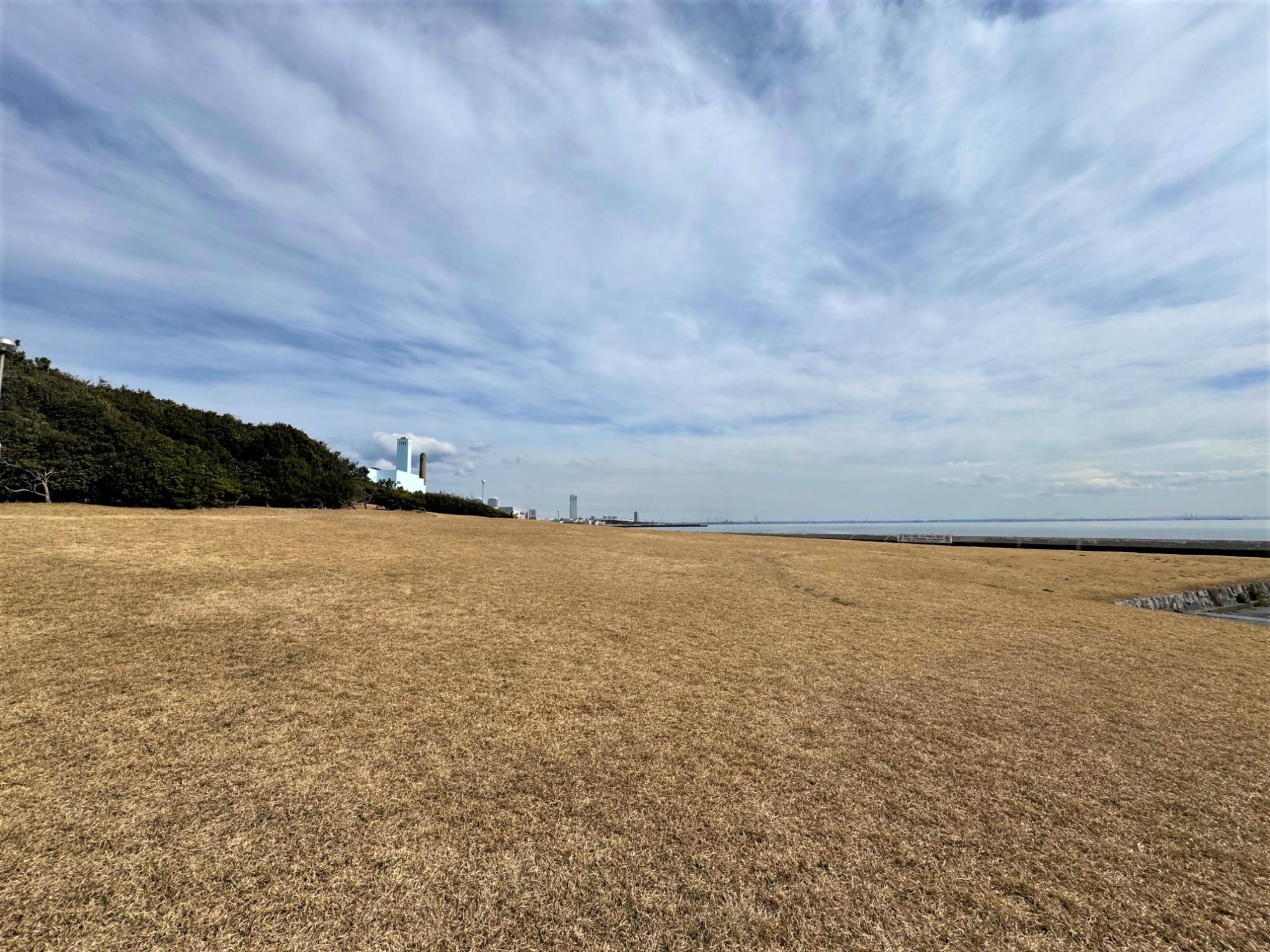海浜公園