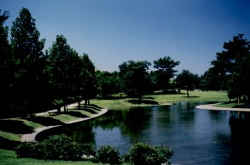 樹林地と芝生の広々とした広場の中に大きな池がある香澄公園の写真