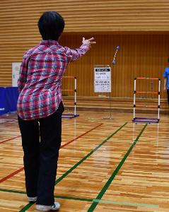 ラダーゲッター