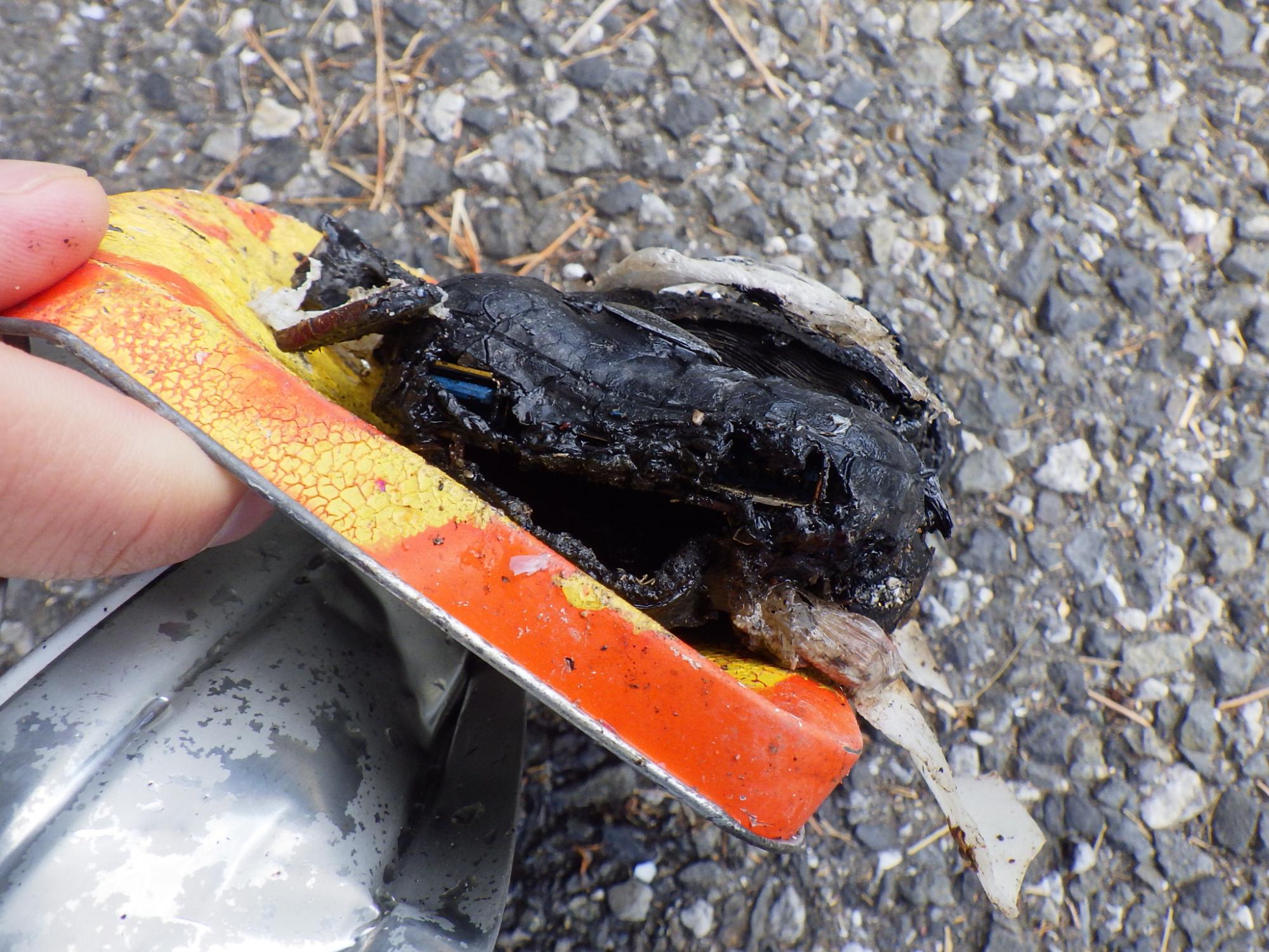 燃えたモバイルバッテリー