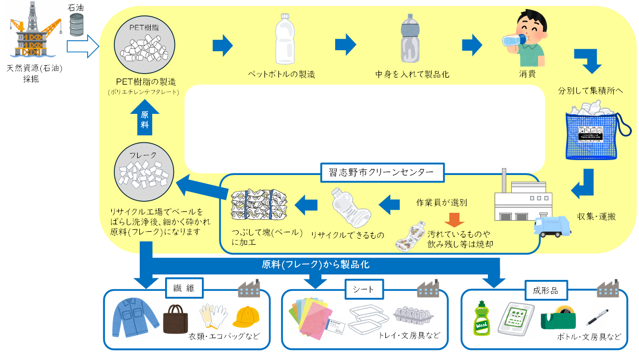 ペットボトルの製造からリサイクルされるまでのイラスト