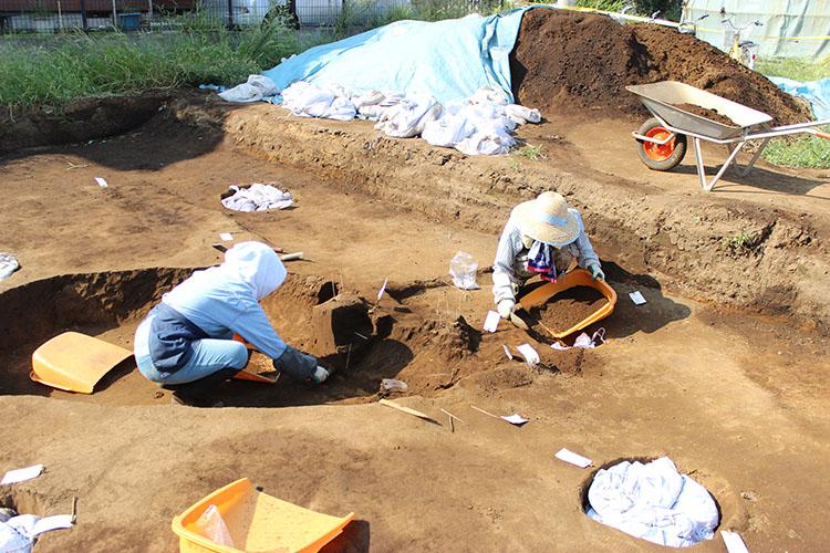 遺跡の形に土が掘り起こされ、作業員2名が土を集めて農具のテミに入れる作業を行っている発掘作業の様子の写真