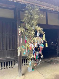 大戸口の左側に短冊や折り紙で飾られた七夕飾りの写真