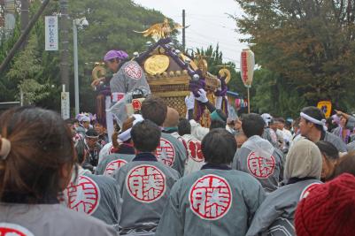 背中に藤と書かれた法被を着た方々が神輿を担いでいる様子を後ろから写した写真