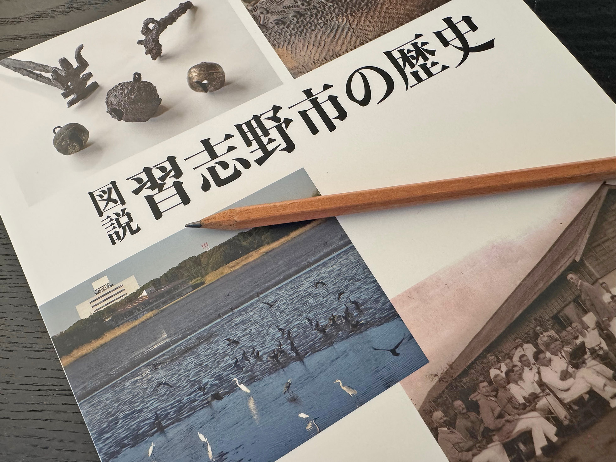 図説習志野市の歴史表紙