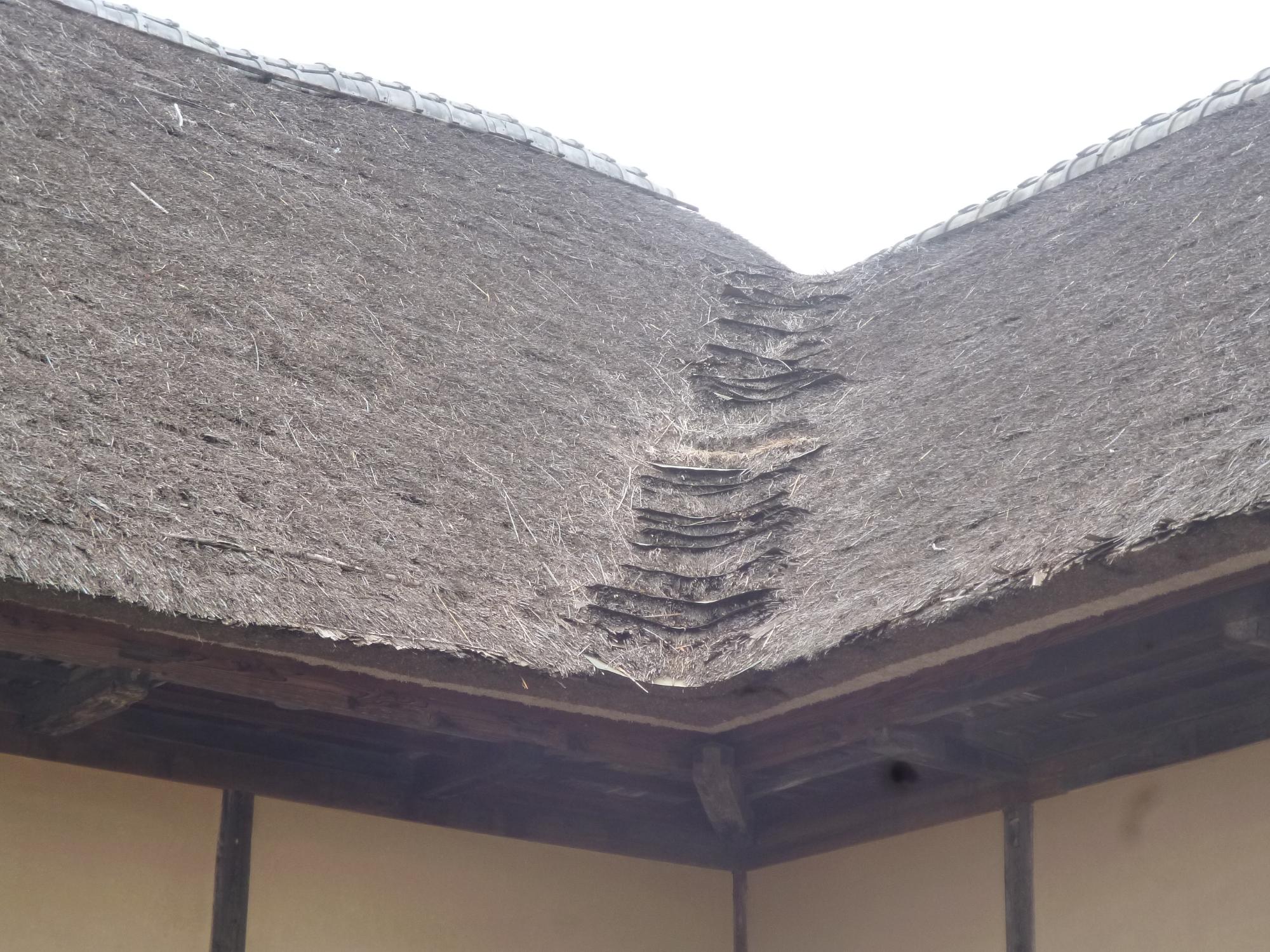 茅葺屋根の様子