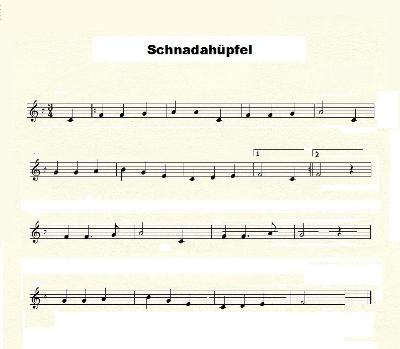 演奏記号や符号などの記号によって書き表した「シュナーダヒュッペル」の楽譜の写真