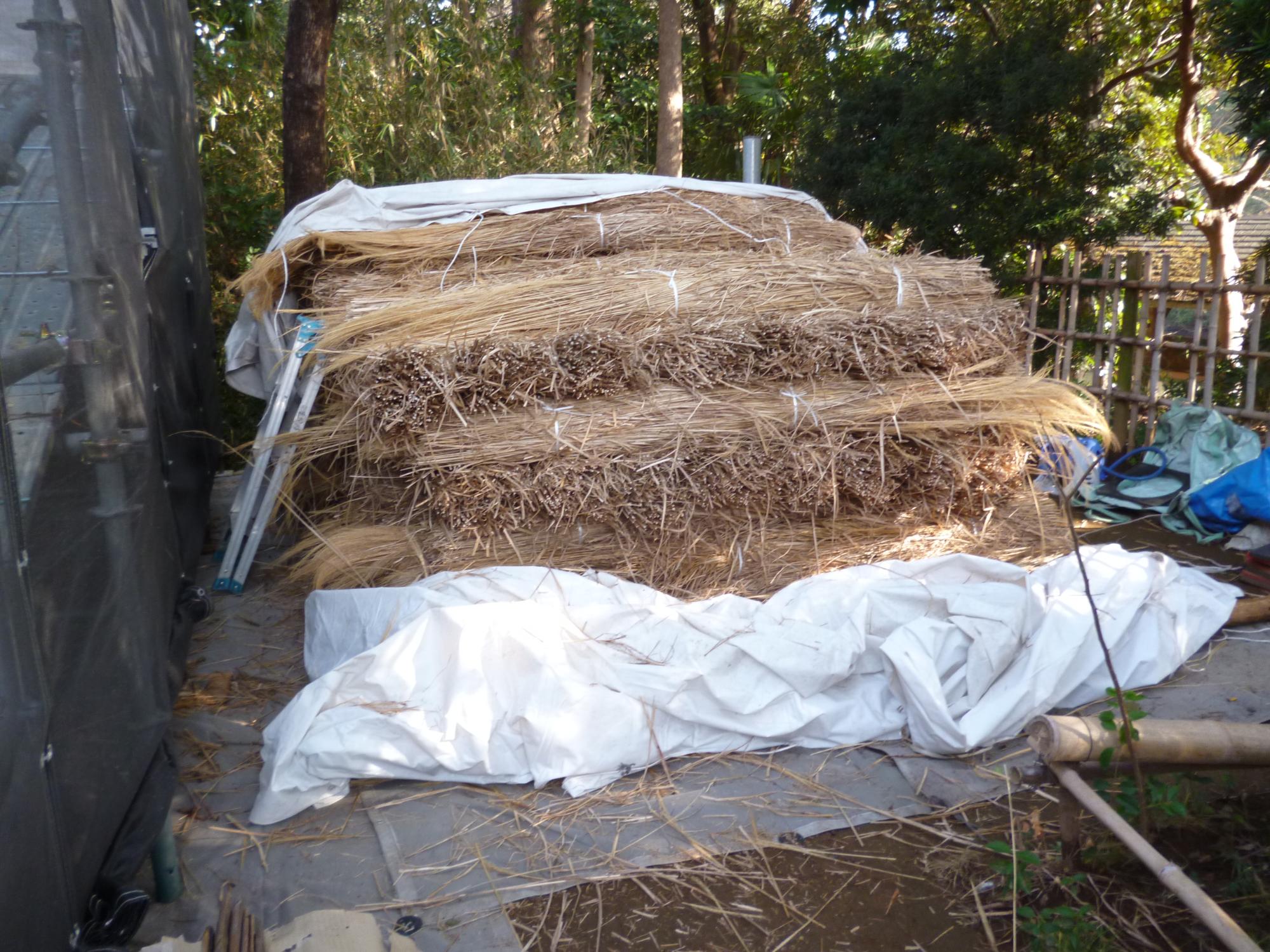 こちらは屋根に補充する茅です