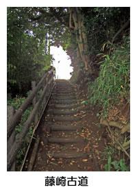 草木が茂り、丸太で出来た階段や手すりのある藤崎古道の写真
