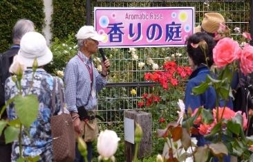 谷津バラ園の見学の様子